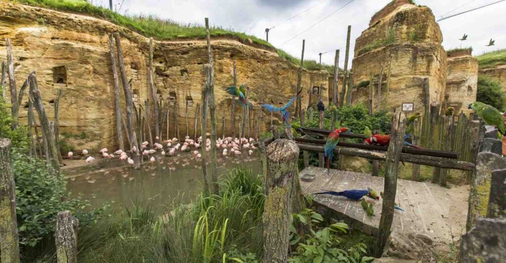 zoo de doué la fontaine